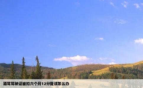 酒驾驾驶证被扣六个月12分我该怎么办