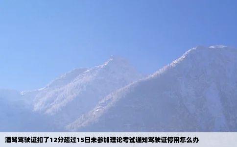 酒驾驾驶证扣了12分超过15日未参加理论考试通知驾驶证停用怎么办