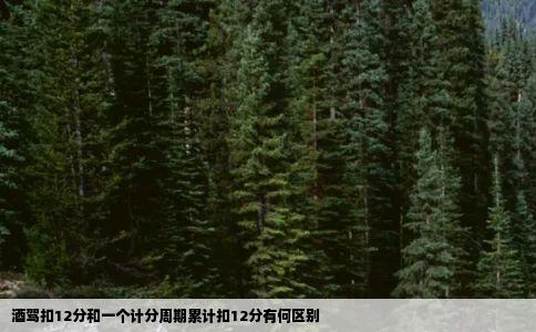 酒驾扣12分和一个计分周期累计扣12分有何区别