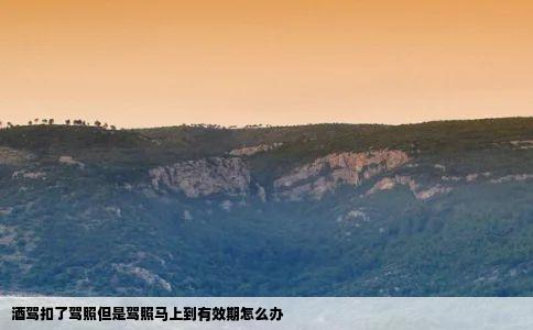 酒驾扣了驾照但是驾照马上到有效期怎么办