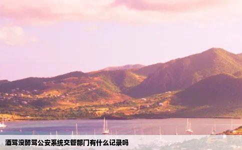 酒驾没醉驾公安系统交管部门有什么记录吗