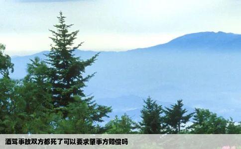 酒驾事故双方都死了可以要求肇事方赔偿吗