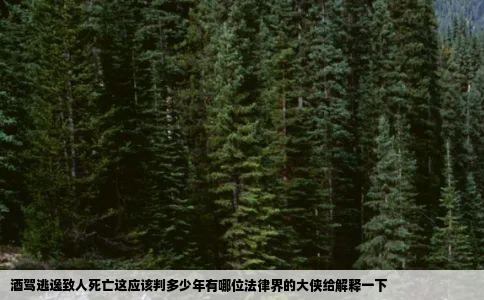 酒驾逃逸致人死亡这应该判多少年有哪位法律界的大侠给解释一下