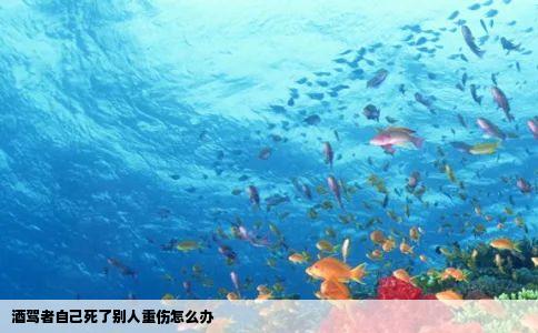 酒驾者自己死了别人重伤怎么办