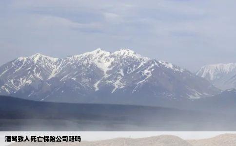 酒驾致人死亡保险公司赔吗