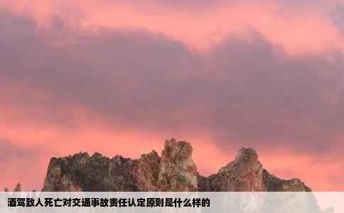 酒驾致人死亡对交通事故责任认定原则是什么样的