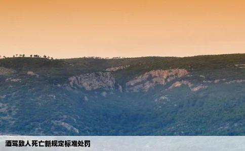 酒驾致人死亡新规定标准处罚