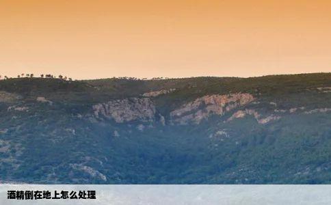 酒精倒在地上怎么处理