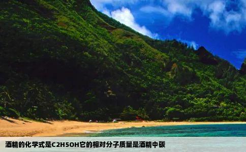 酒精的化学式是C2H5OH它的相对分子质量是酒精中碳