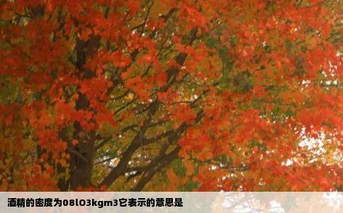 酒精的密度为08lO3kgm3它表示的意思是
