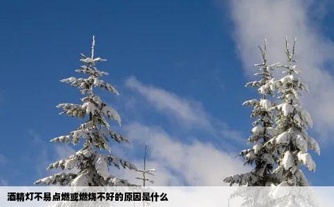 酒精灯不易点燃或燃烧不好的原因是什么