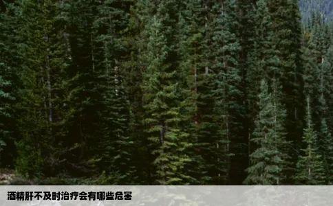 酒精肝不及时治疗会有哪些危害