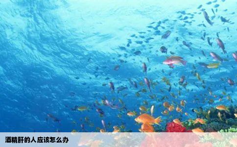 酒精肝的人应该怎么办