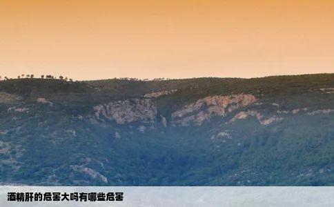 酒精肝的危害大吗有哪些危害