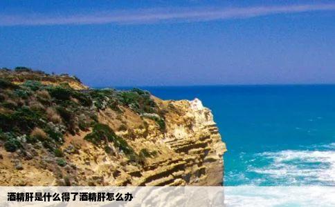 酒精肝是什么得了酒精肝怎么办