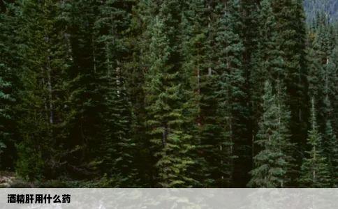 酒精肝用什么药