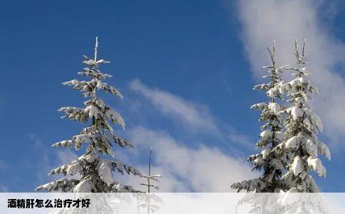 酒精肝怎么治疗才好