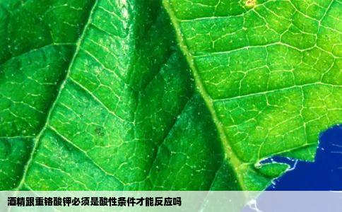 酒精跟重铬酸钾必须是酸性条件才能反应吗