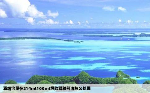 酒精含量在214ml100ml危险驾驶刑法怎么处理