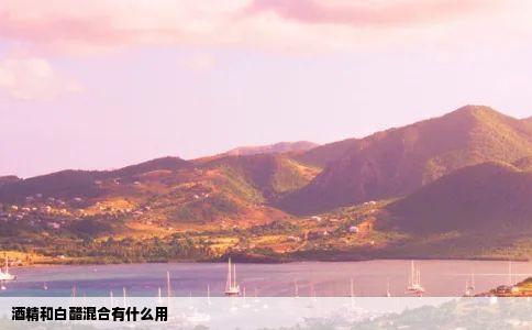 酒精和白醋混合有什么用