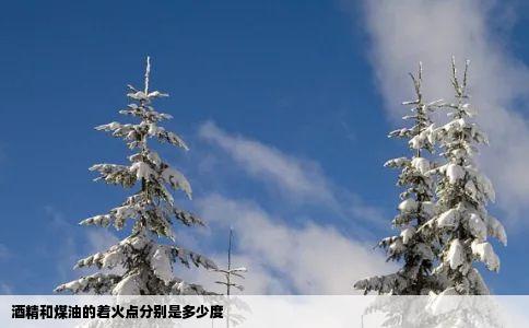 酒精和煤油的着火点分别是多少度