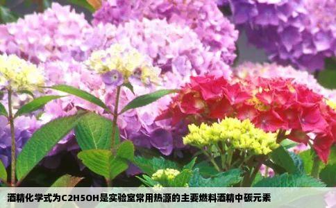 酒精化学式为C2H5OH是实验室常用热源的主要燃料酒精中碳元素