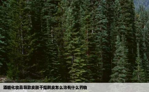 酒精化妆品导致皮肤干燥脱皮怎么治有什么药物