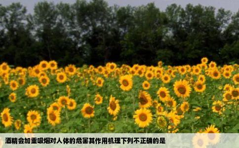 酒精会加重吸烟对人体的危害其作用机理下列不正确的是