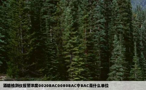 酒精检测仪报警浓度0020BAC0080BAC中BAC是什么单位