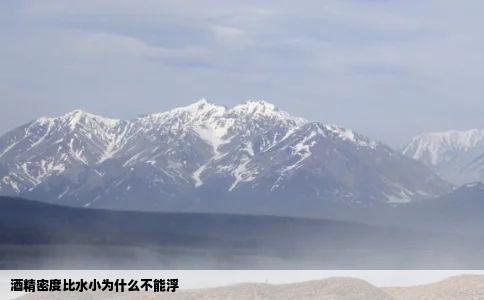 酒精密度比水小为什么不能浮