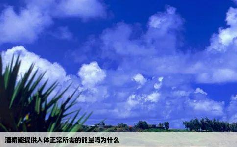 酒精能提供人体正常所需的能量吗为什么