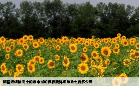 酒精燃烧法测土的含水量的步骤要详细急急土要多少克