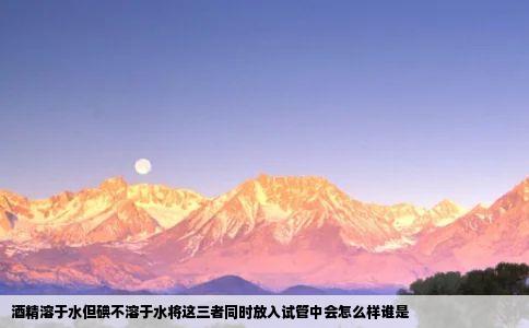 酒精溶于水但碘不溶于水将这三者同时放入试管中会怎么样谁是