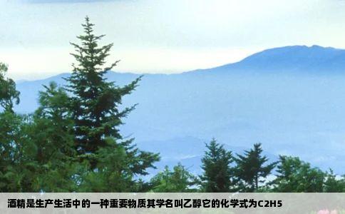 酒精是生产生活中的一种重要物质其学名叫乙醇它的化学式为C2H5