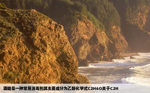 酒精是一种常用消毒剂其主要成分为乙醇化学式C2H6O关于C2H