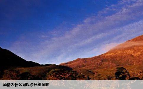 酒精为什么可以杀死细菌呢