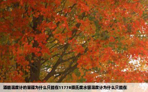 酒精温度计的量程为什么只能在11778摄氏度水银温度计为什么只能在