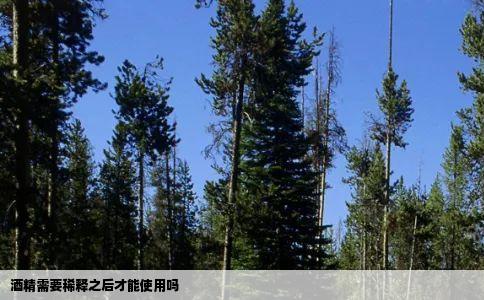 酒精需要稀释之后才能使用吗