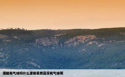 酒精有气味吗什么液体易燃且没有气味呢