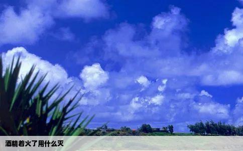 酒精着火了用什么灭