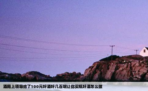 酒局上领导给了100元好酒好几百呢让你买瓶好酒怎么做