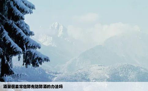 酒量很差常宿醉有防醉酒的办法吗