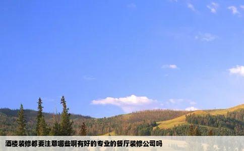 酒楼装修都要注意哪些啊有好的专业的餐厅装修公司吗