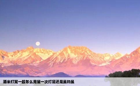 酒米打窝一般怎么用量一次打足还是虽钓虽