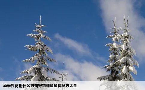 酒米打窝用什么钓饵野钓鲫鱼鱼饵配方大全