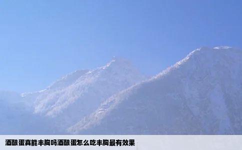 酒酿蛋真能丰胸吗酒酿蛋怎么吃丰胸最有效果