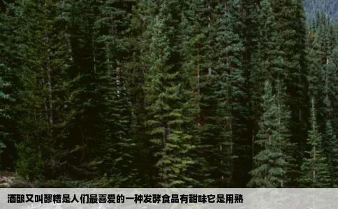 酒酿又叫醪糟是人们最喜爱的一种发酵食品有甜味它是用熟