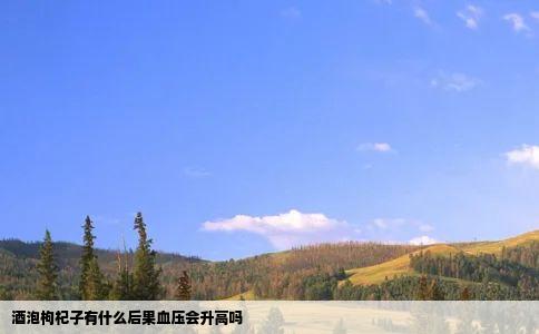 酒泡枸杞子有什么后果血压会升高吗