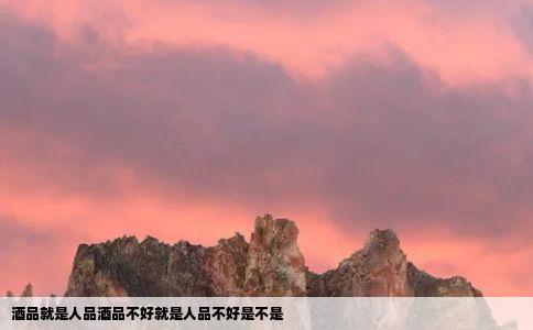 酒品就是人品酒品不好就是人品不好是不是