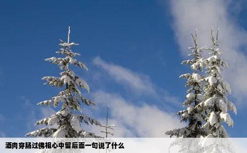 酒肉穿肠过佛祖心中留后面一句说了什么